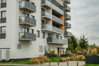 Investissement locatif loi Duflot : stratégie et rendement